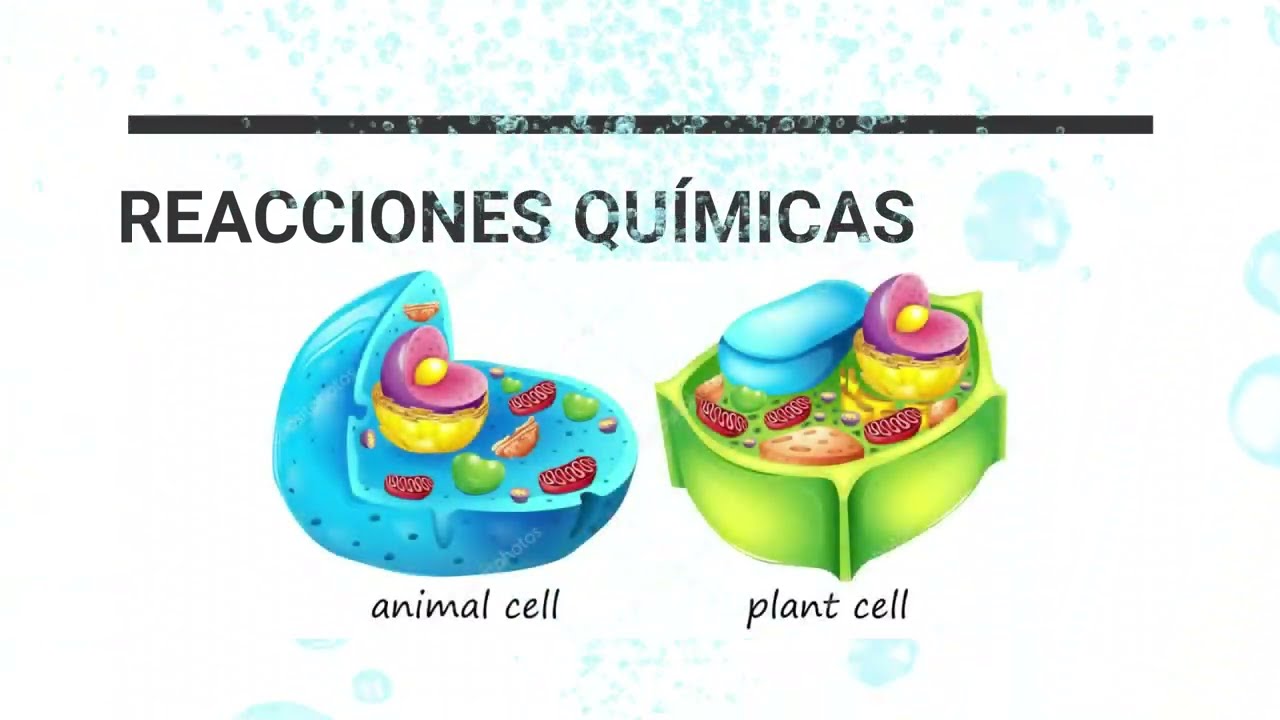 agua libre en los alimentos