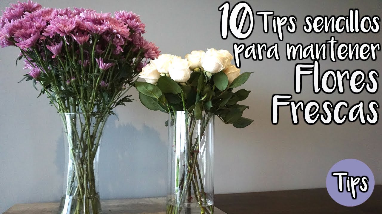 alimento para flores en agua
