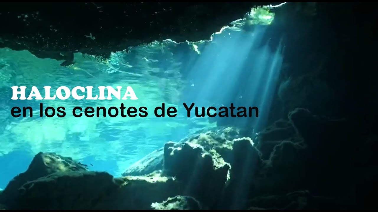cenotes agua dulce o salada
