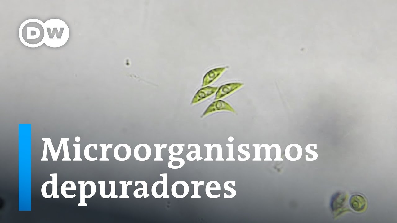cuerpos de agua en colombia