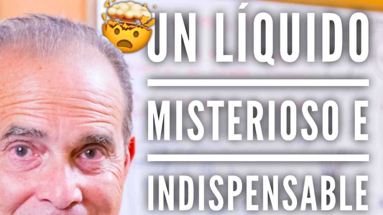 dioxido de carbono mas agua