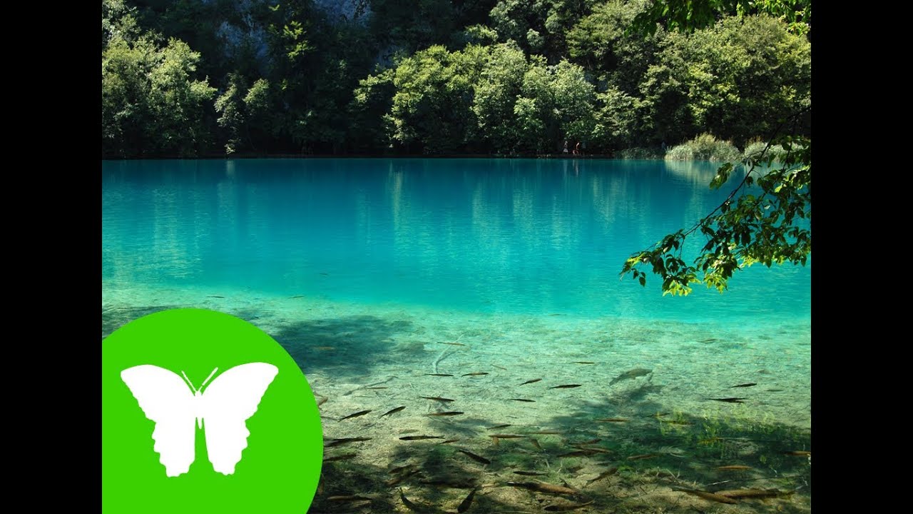 el agua en la naturaleza