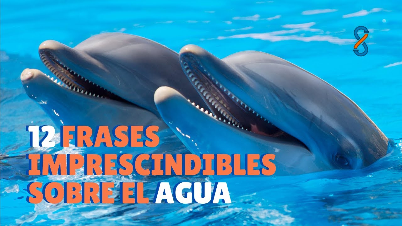frases de fuentes de agua