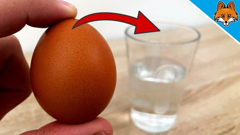 Cómo Cocinar un Huevo en Vaso de Agua: Guía Paso a Paso para el Huevo