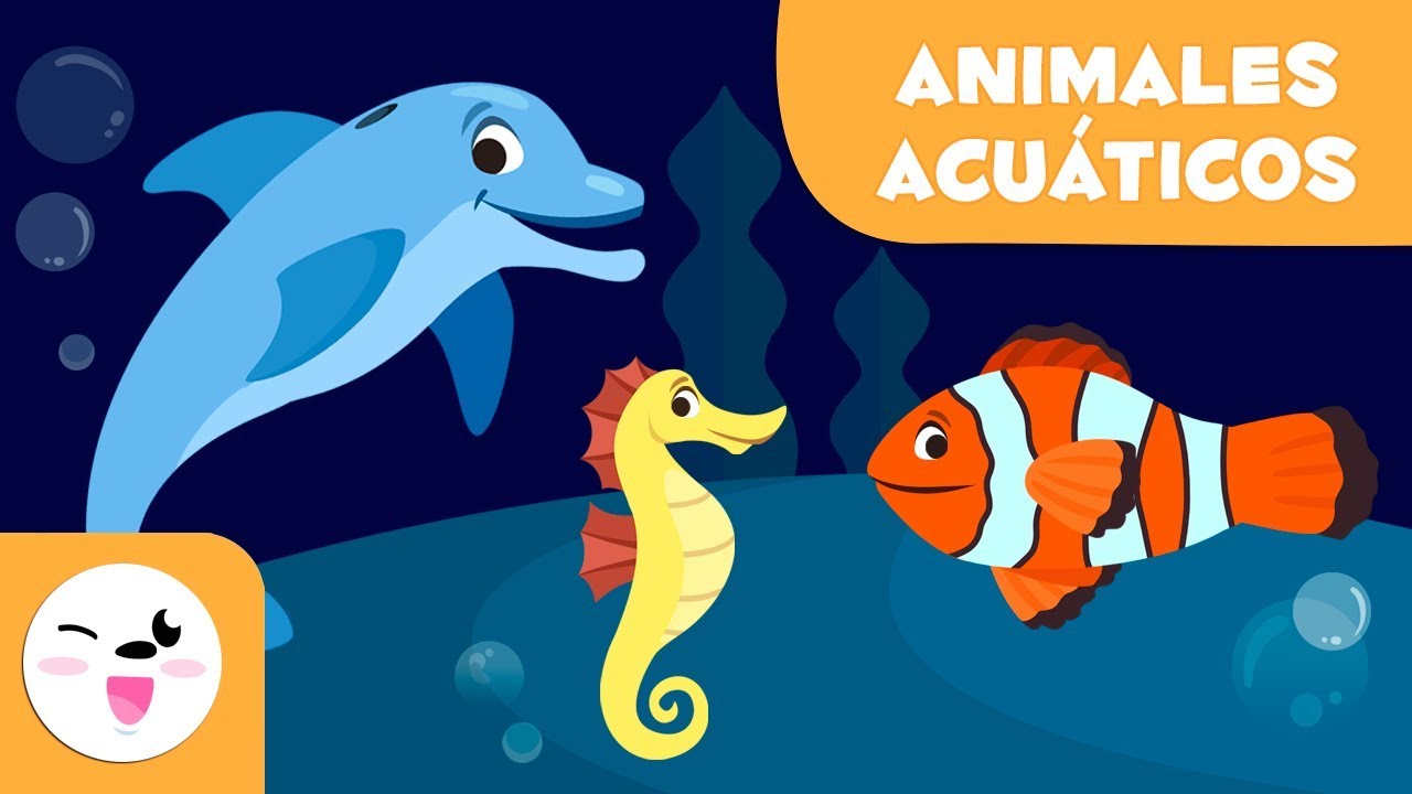 lista de animales de agua