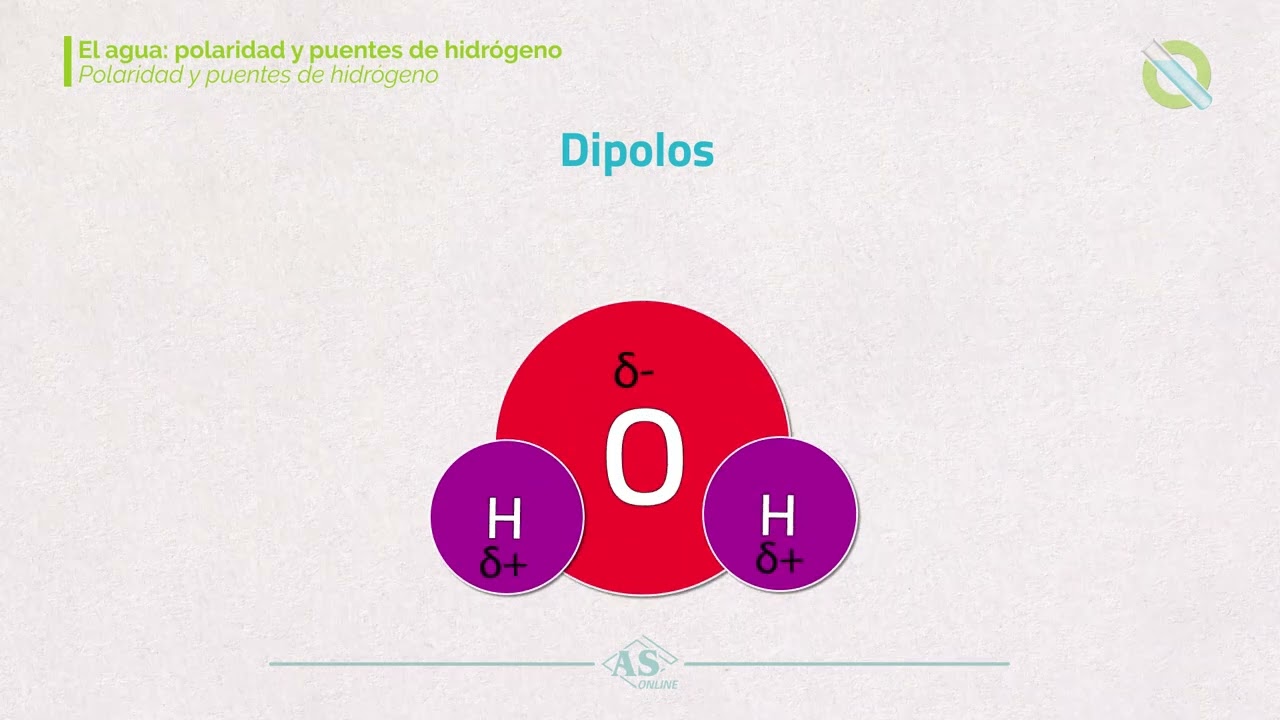 porque el agua es polar