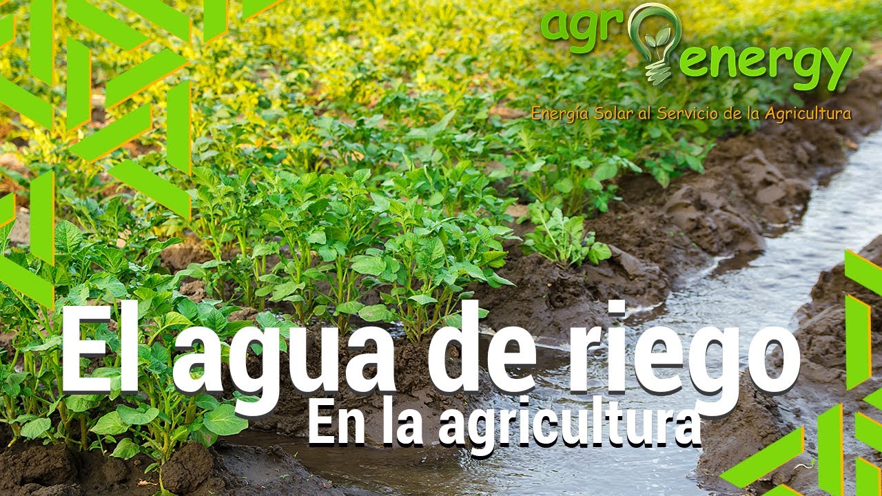 que es el agua de riego