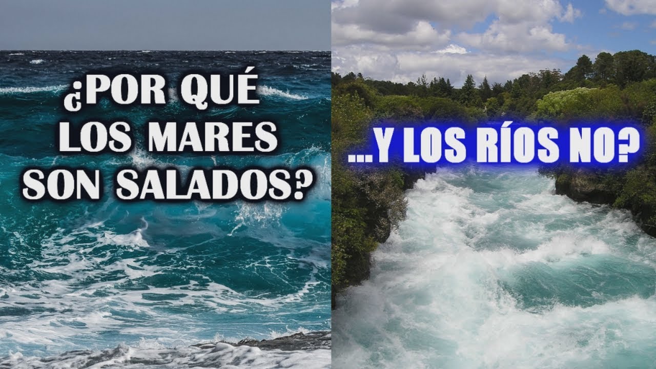 qué es la agua salada