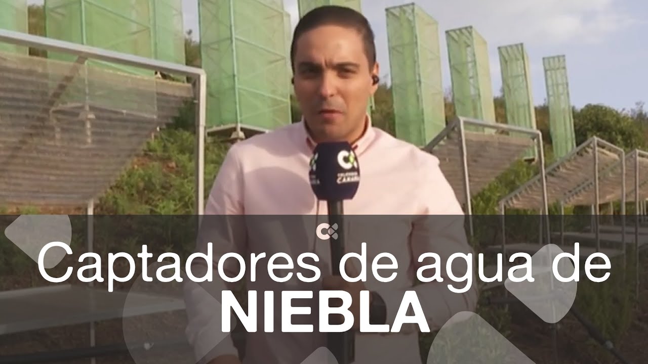 agua de niebla de canarias sl