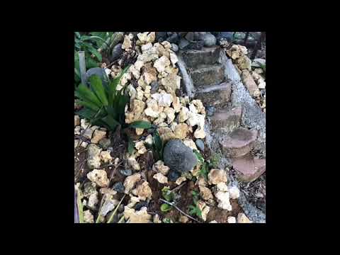 agua dulce y agua salada biblia