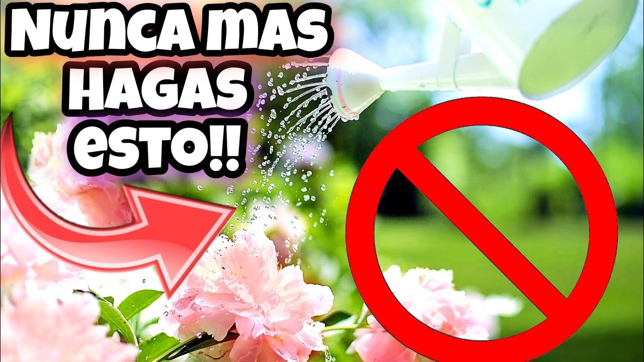 agua no calcarea para plantas