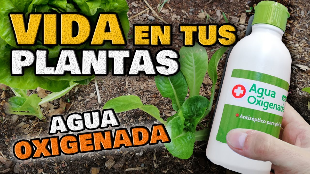agua oxigenada para las plantas