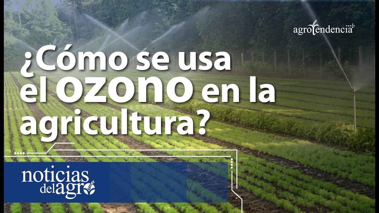 agua ozonizada en la agricultura