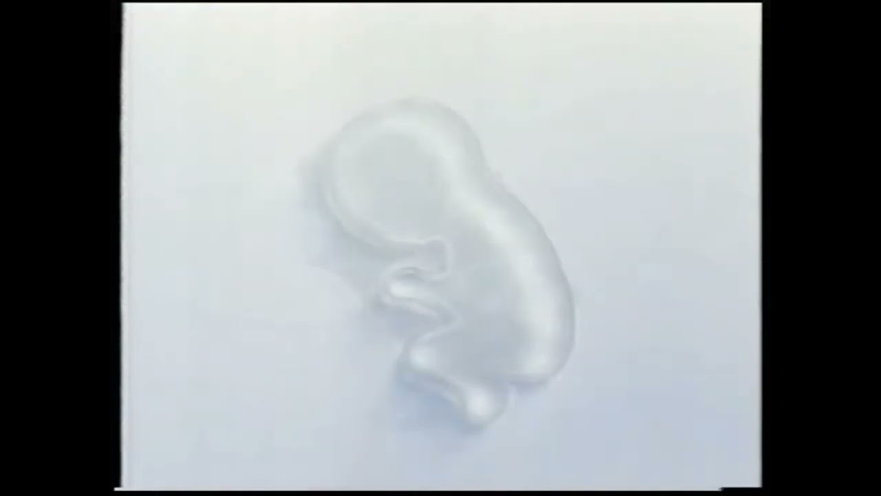 agua solan de cabras para bebes