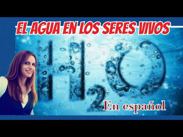 agua y gases en los seres vivos