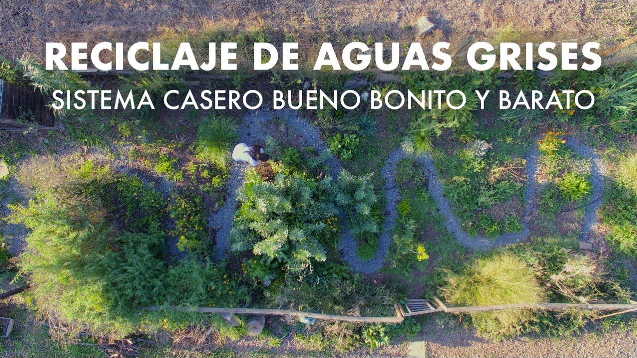 aguas grises para regar plantas