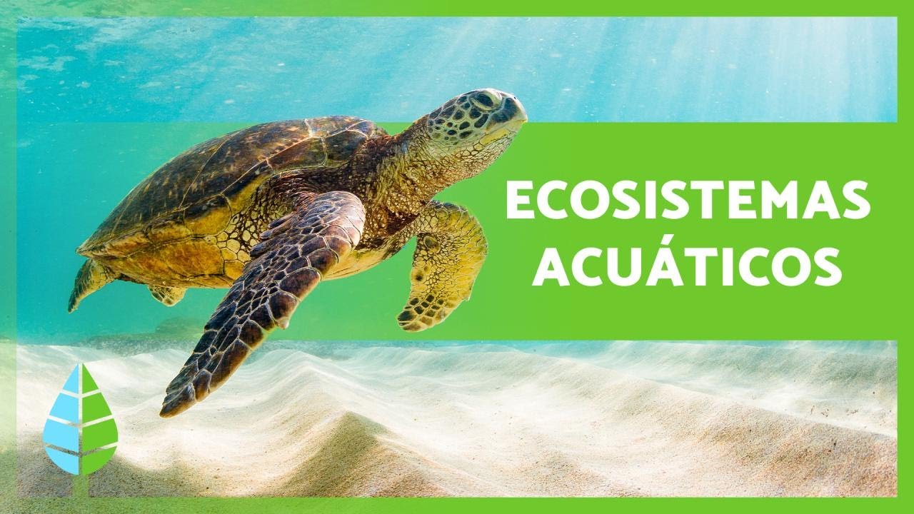 animales marinos de agua dulce