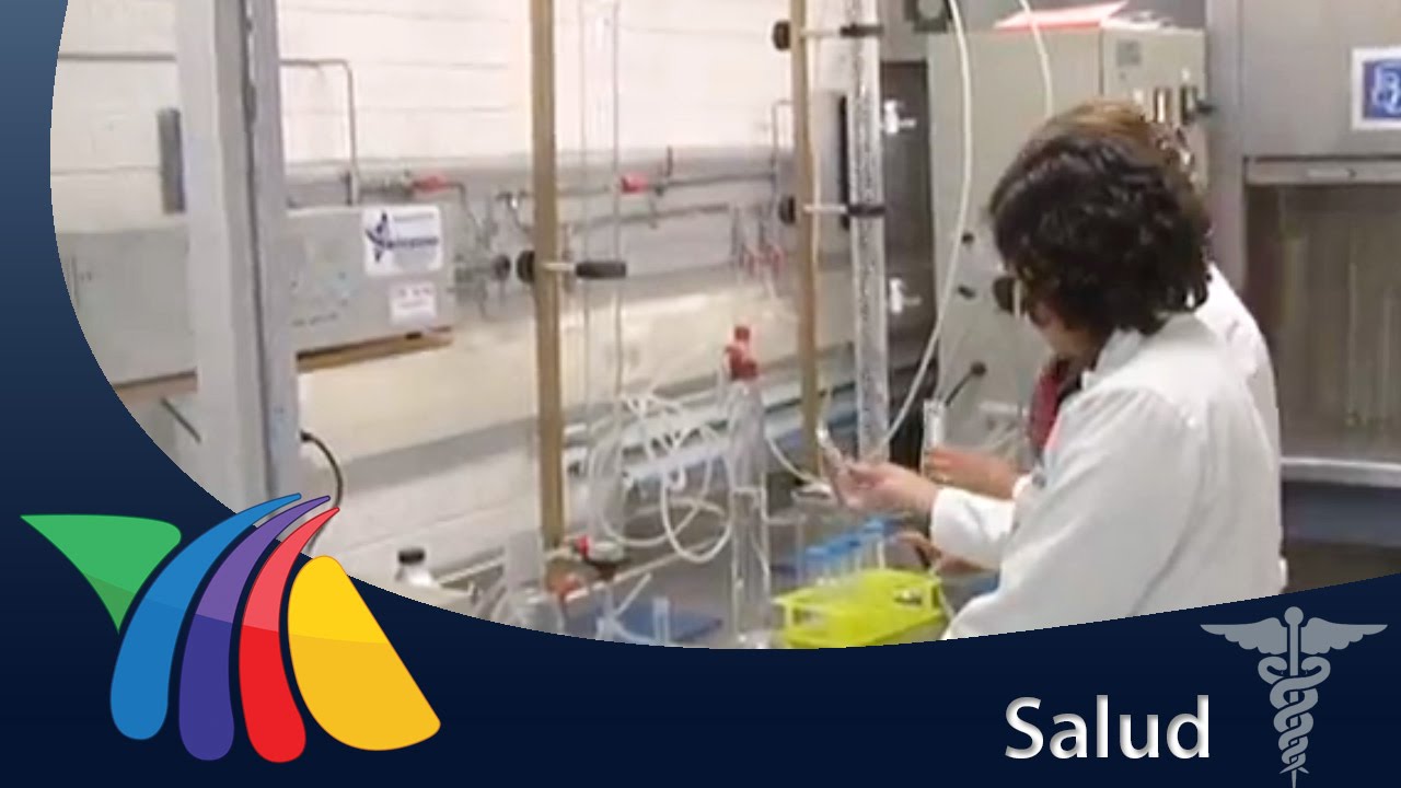 bacterias que purifican el agua