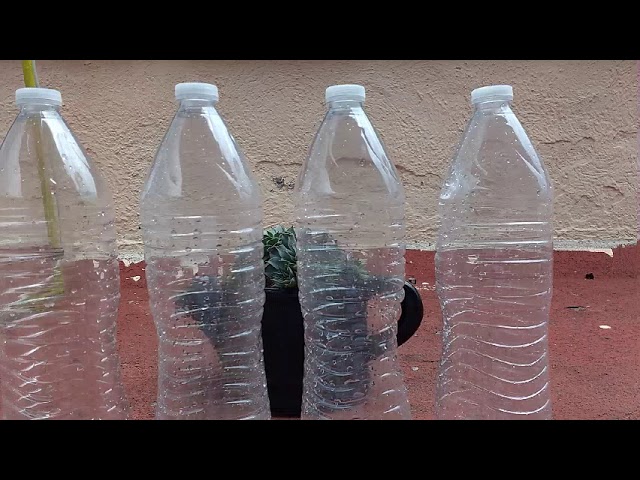 captador de agua pluvial casero