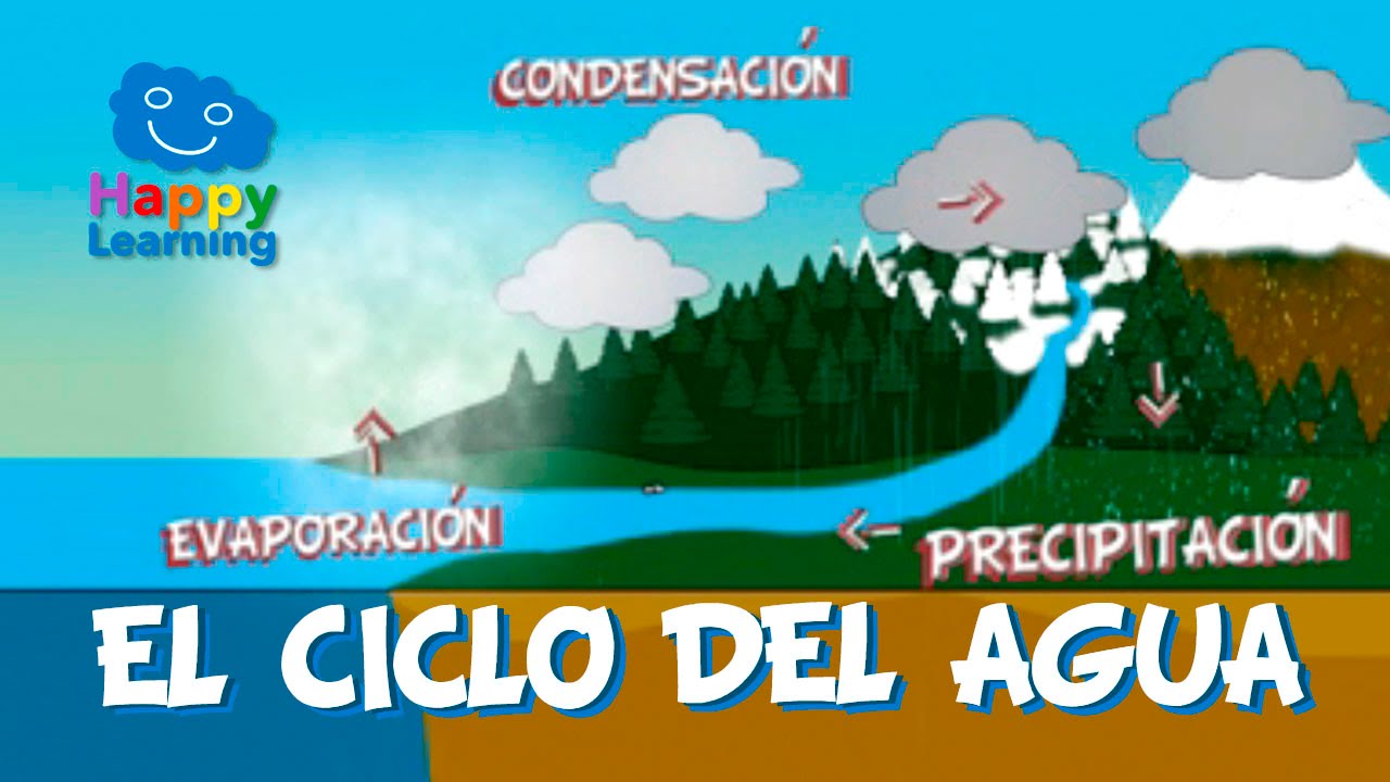 clasificacion del ciclo del agua