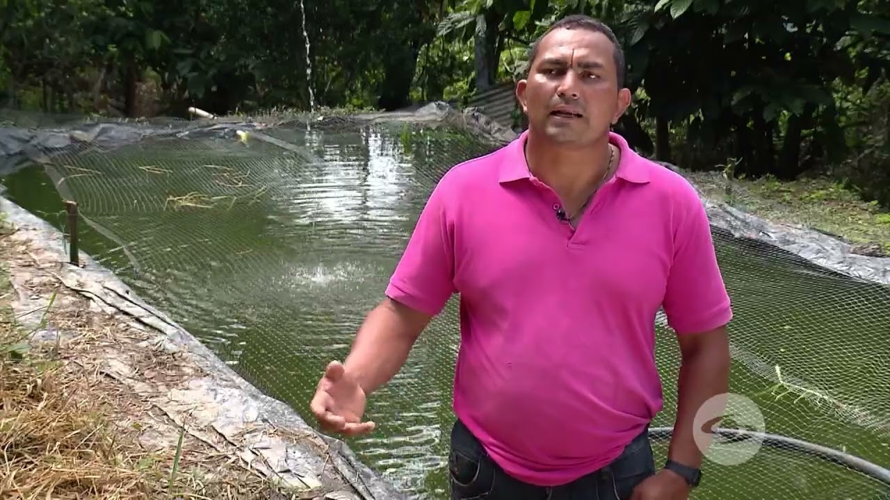 como criar peces de agua dulce