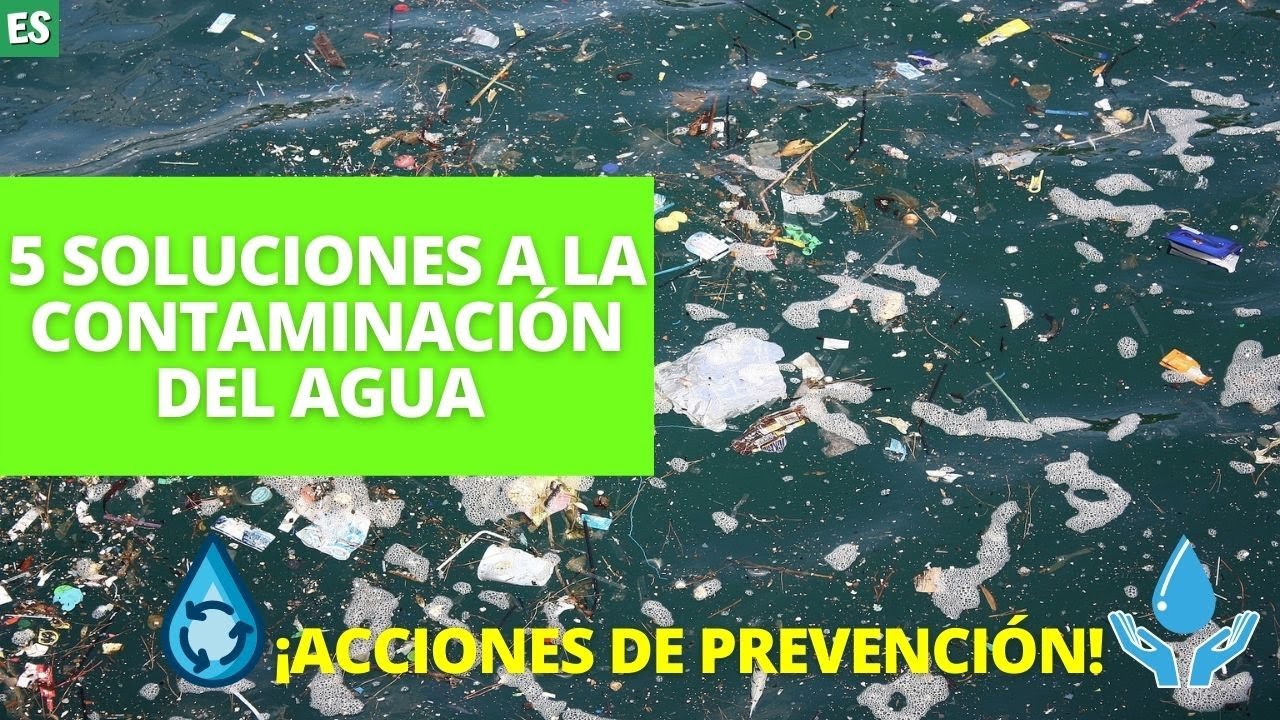 como dejar de contaminar el agua