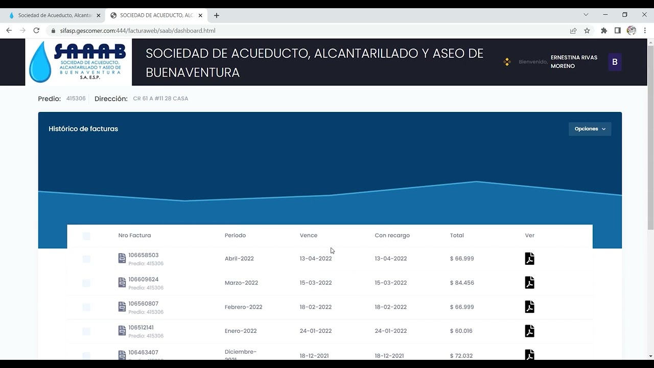 como saber mi factura de agua