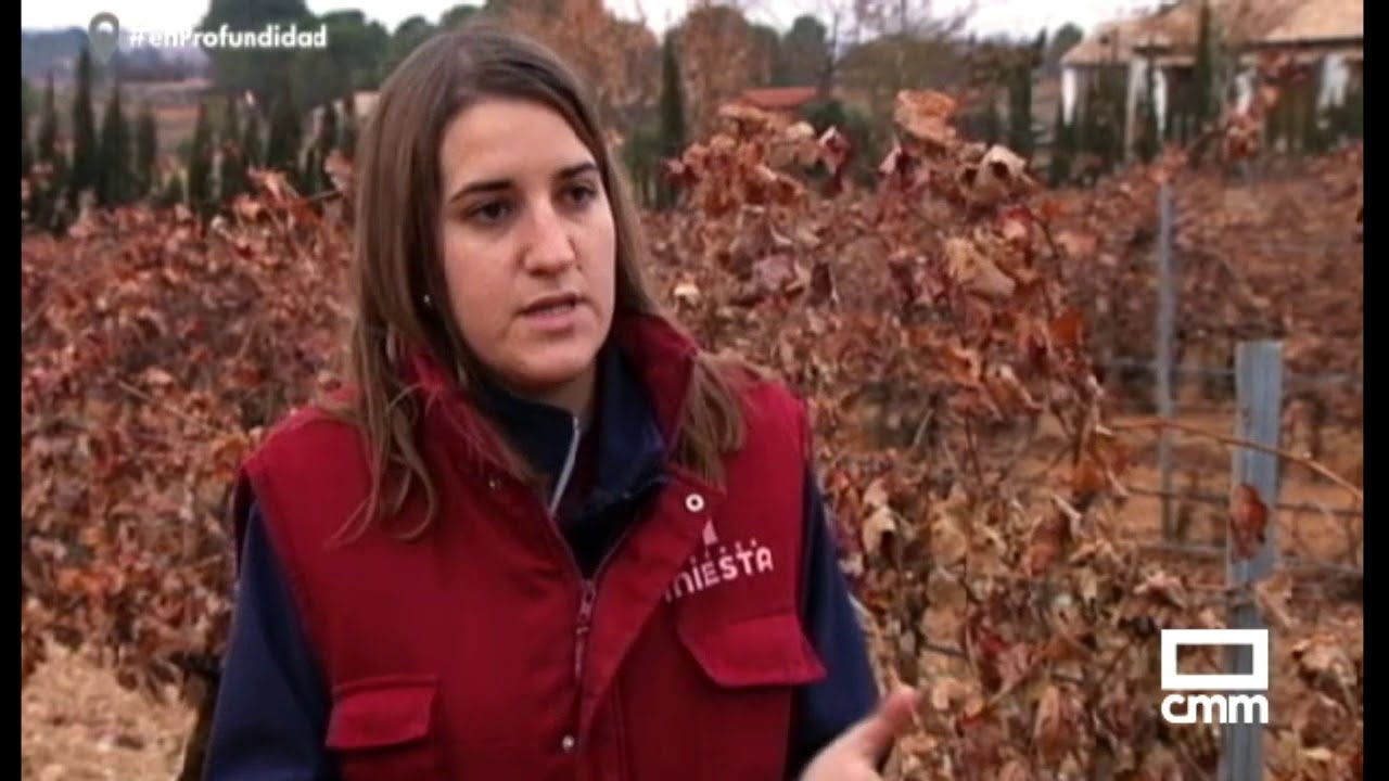 consumo de agua de los cultivos