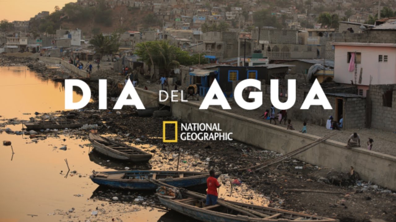 dia mundial del agua resumen