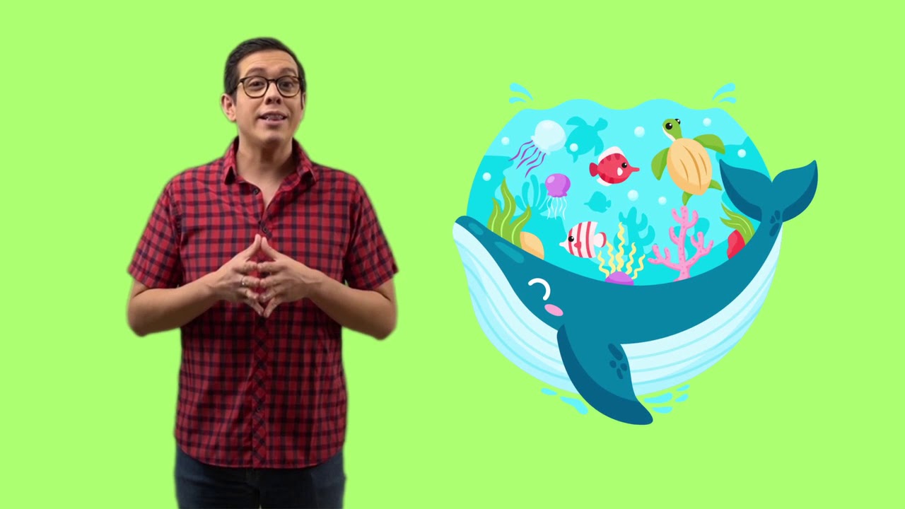 el agua en el planeta de la vida