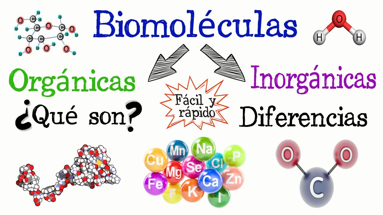 el agua es organica o inorganica