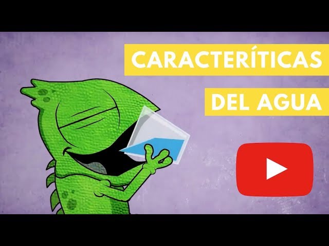 el agua tiene forma definida