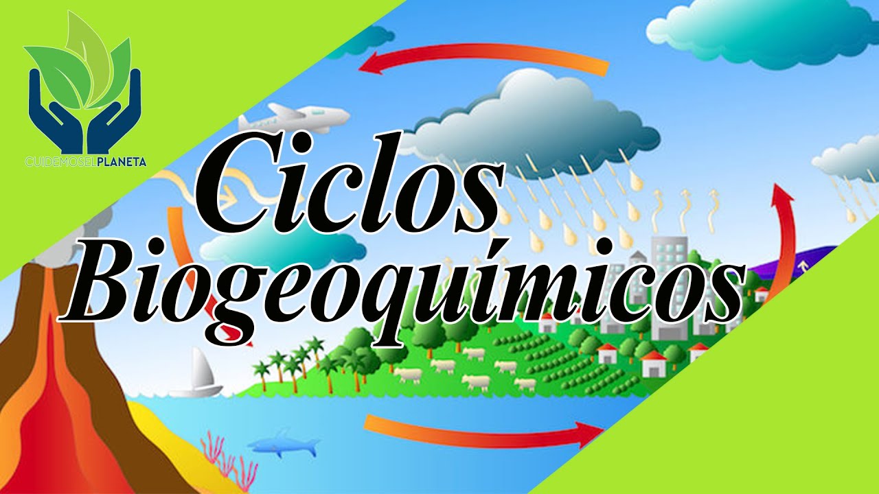 el ciclo biogeoquímico del agua