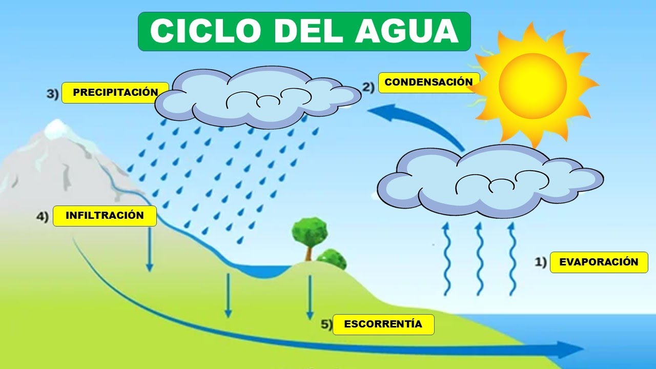 el ciclo del agua filtracion