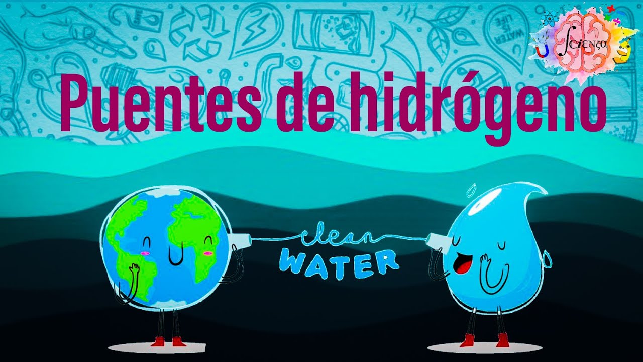 enlaces de hidrogeno en el agua