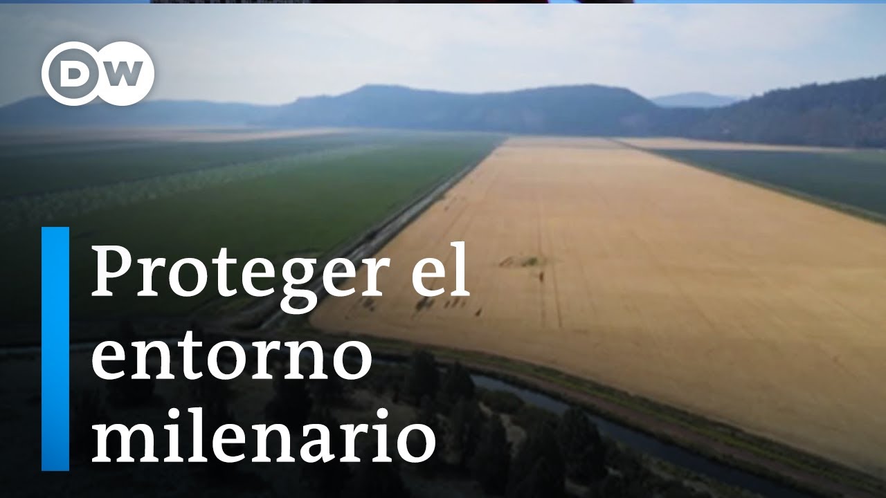 falta de agua en la agricultura