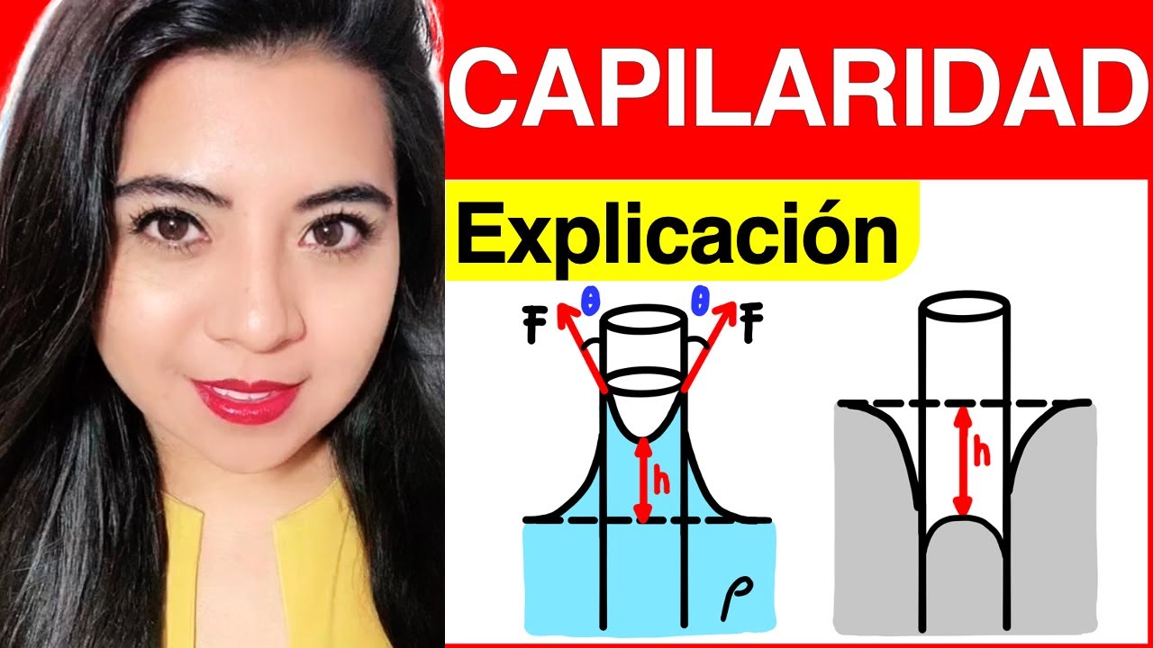 fenomeno de capilaridad del agua