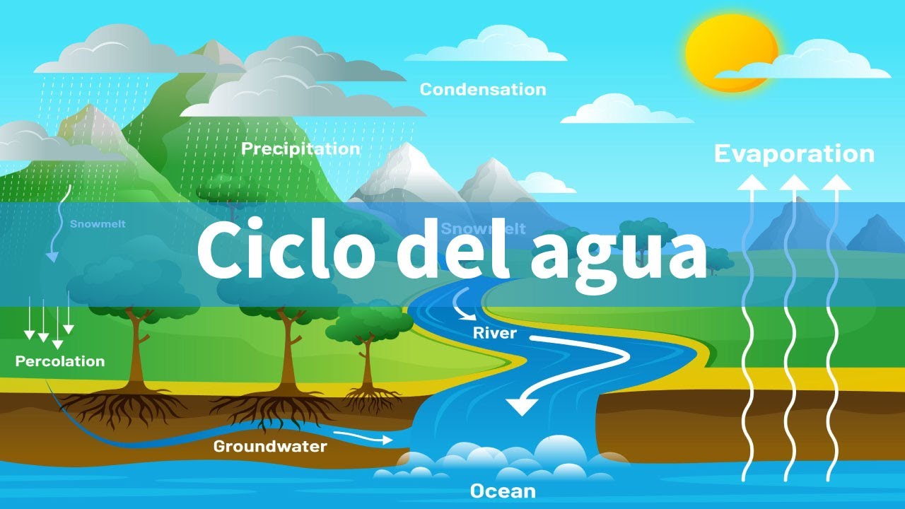 importancia del siclo del agua