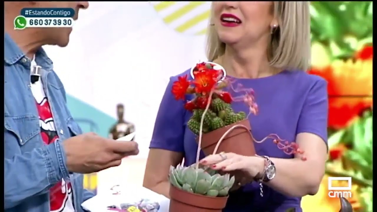 jardines de bajo consumo de agua