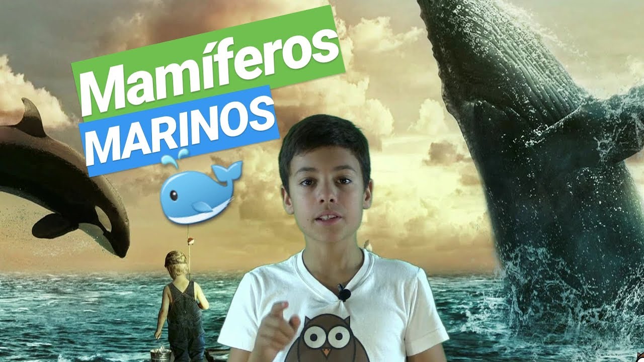 mamíferos que viven en el agua