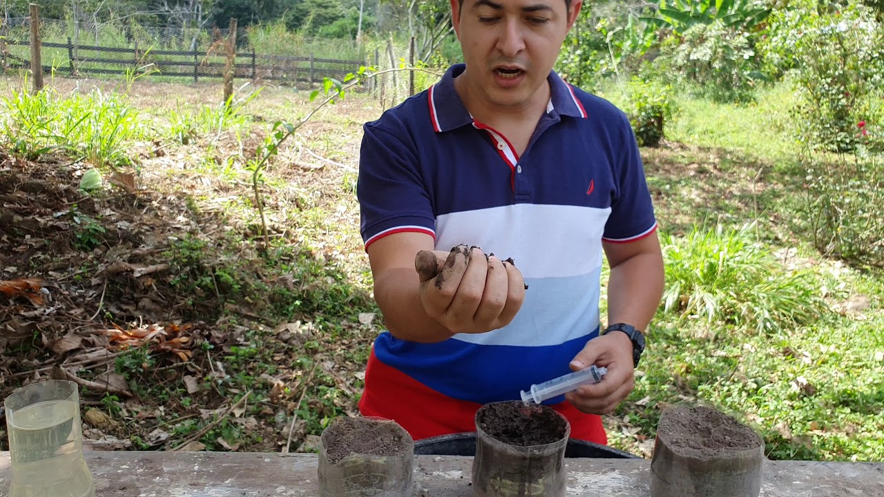 medicion del agua en el suelo