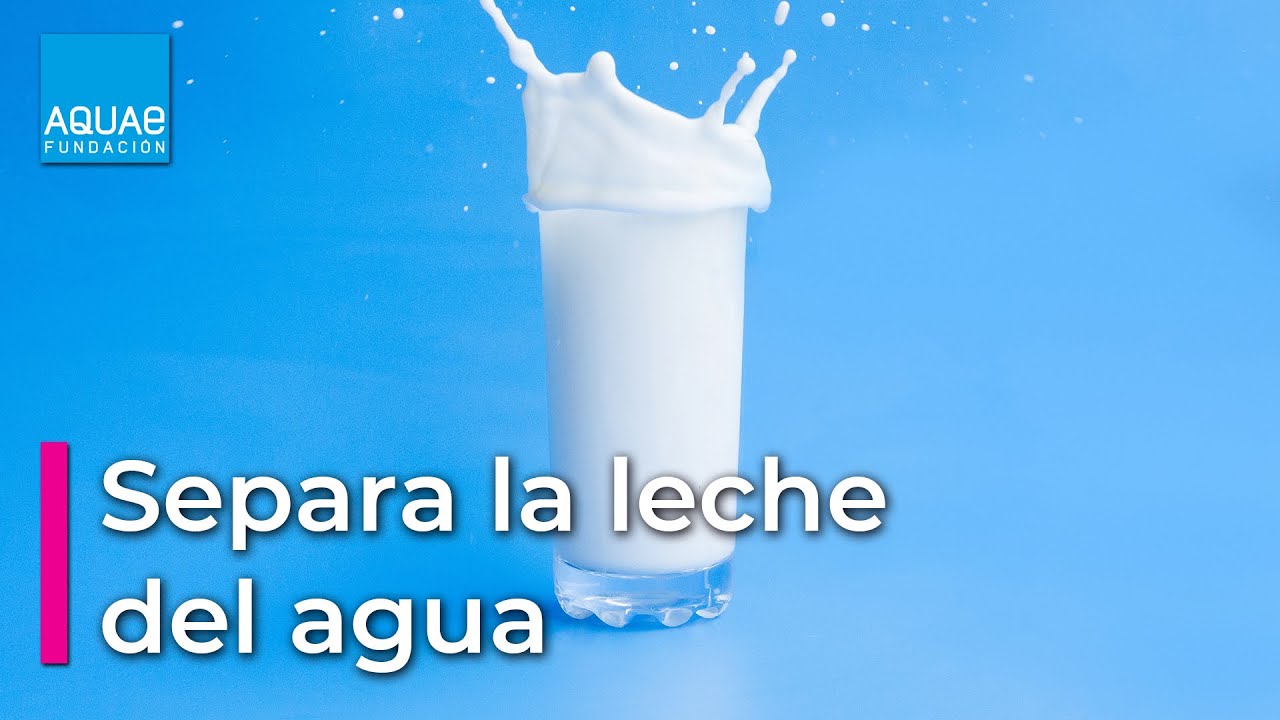mezclar leche con agua es malo