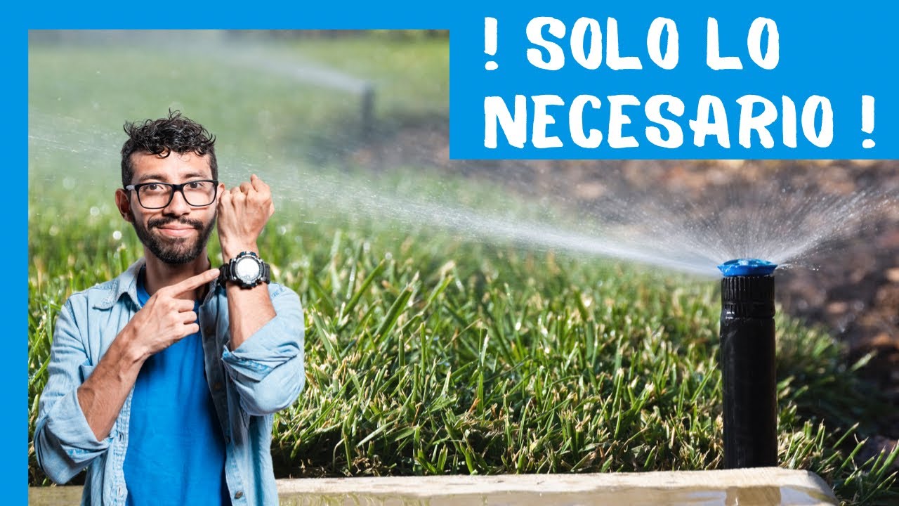 pasto que necesita poca agua