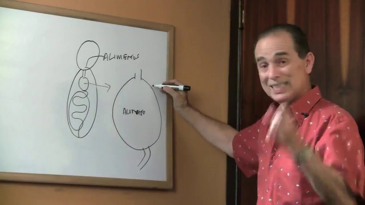 perdida de agua en el cuerpo