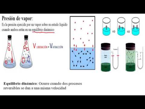 presion de vapor de agua a 100 c