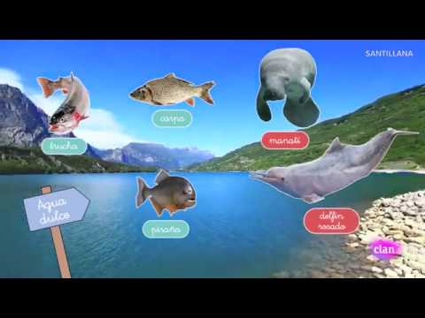 que animales viven en agua dulce