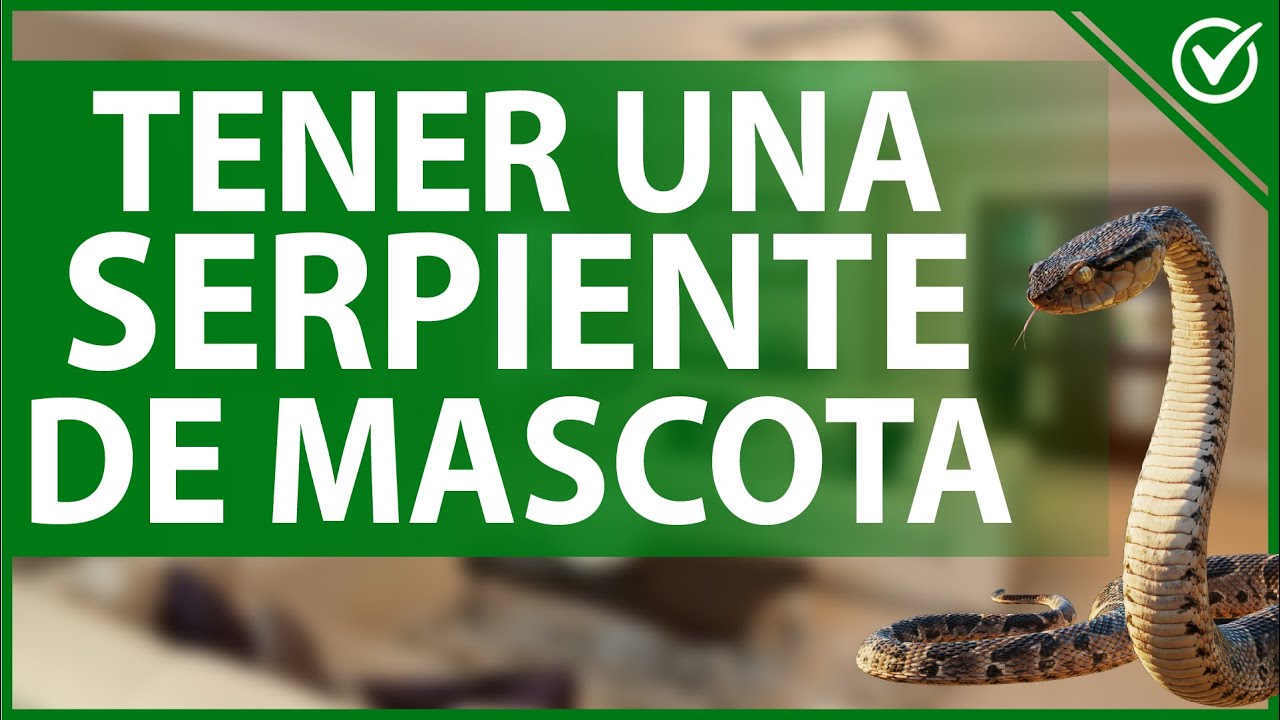 que comen las víboras de agua