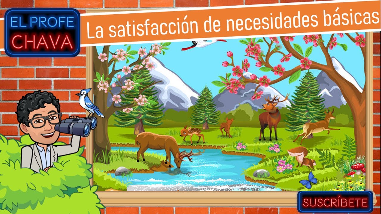 que necesidad satisface el agua