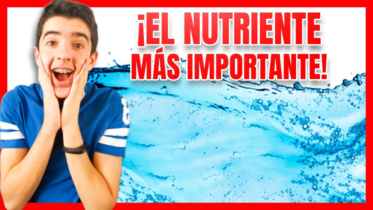 que nutrientes aporta el agua