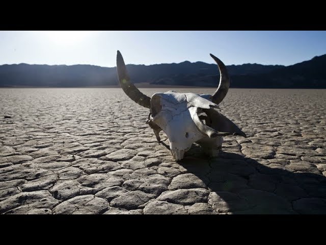 que pasaria si no hubiera agua